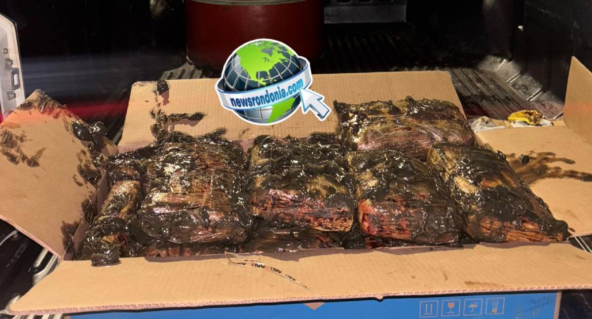 Ação conjunta entre PCRO e PCAC apreende 20kg de drogas em Porto Velho