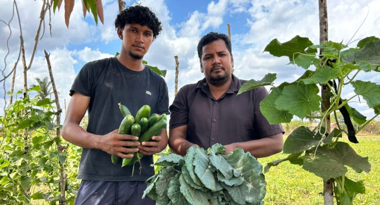 Agricultores pais cultivam alimento e valores para Porto Velho - News Rondônia