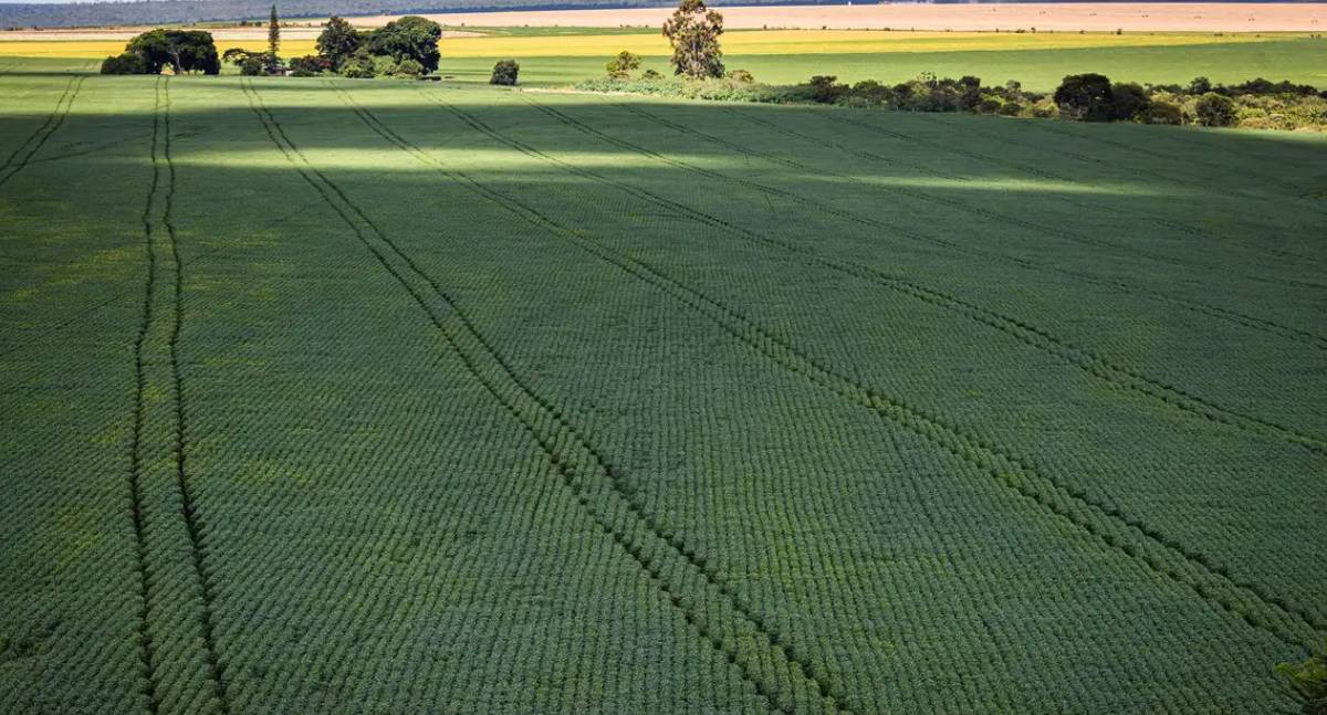 Agronegócio busca ser solução em crise climática na COP30