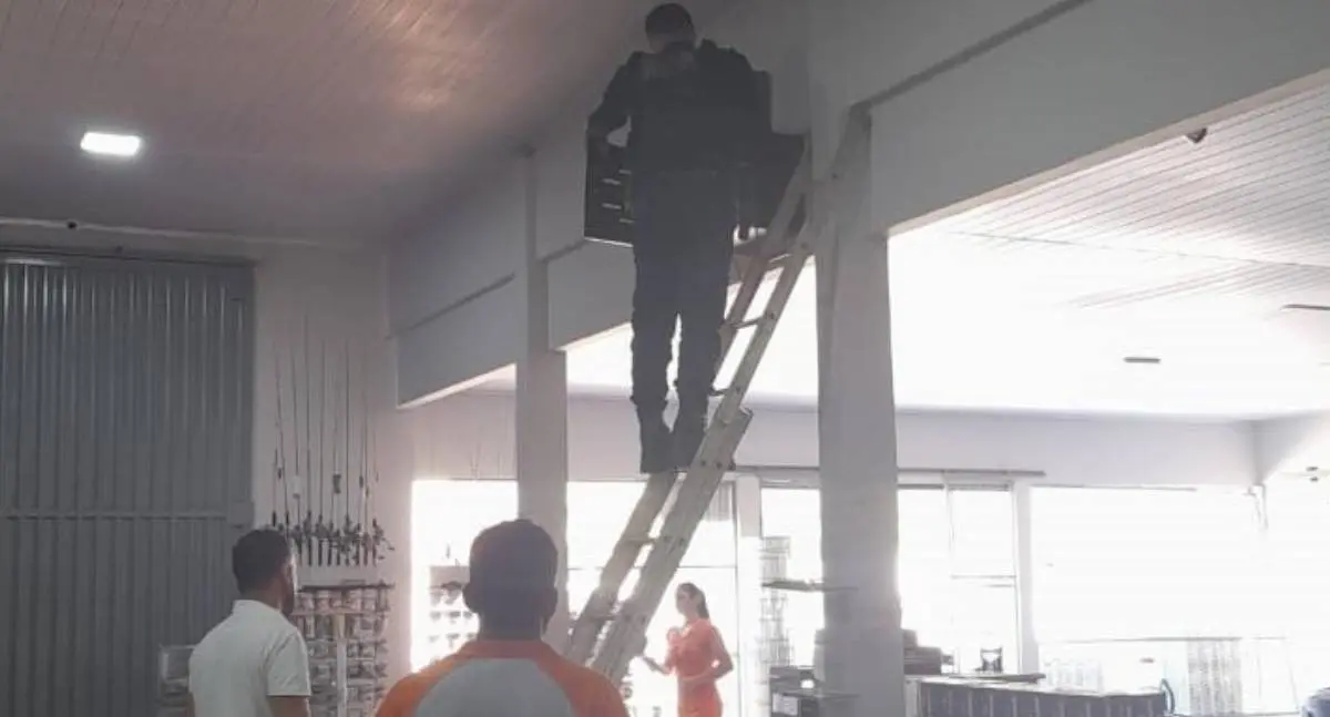 Agropecuária sofre furto de grande porte em Vila Palmares