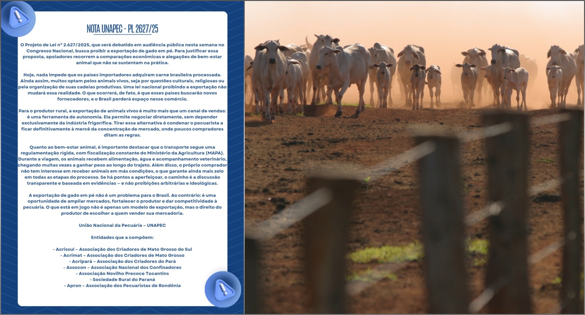 APRON alerta sobre projeto de lei que ameaça competitividade da pecuária em Rondônia