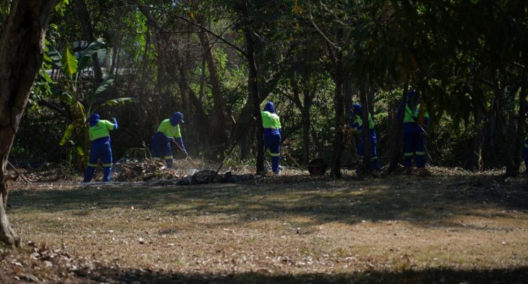 Área de Preservação Permanente no centro de Porto Velho recebe ação de limpeza e manutenção