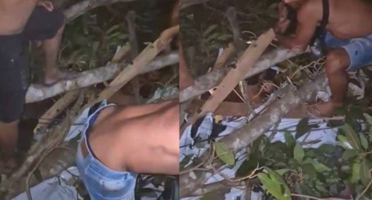 Árvore cai e esmaga garimpeiro que se divertia com garota de programa em Pontes e Lacerda
