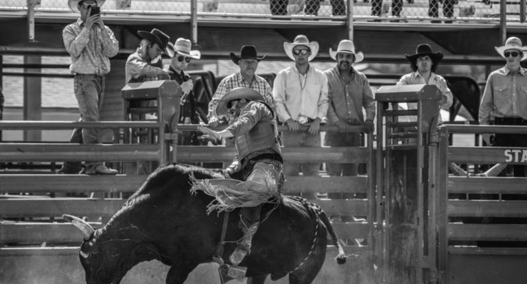 Assembleia de Rondônia vota hoje projeto que transforma rodeio em esporte oficial - News Rondônia