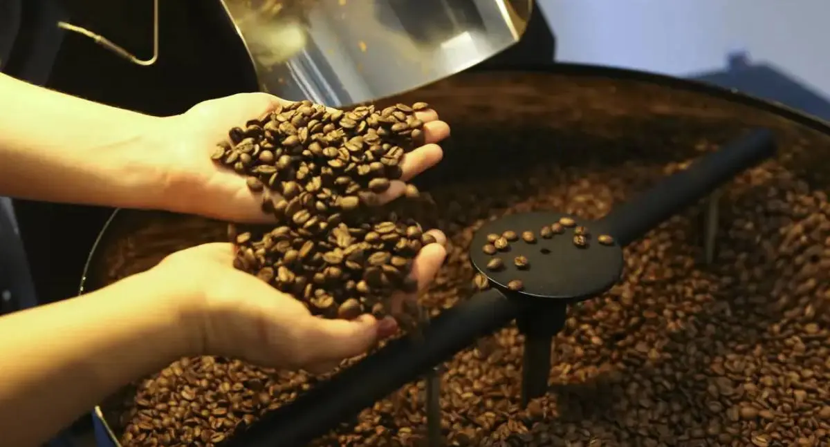 Associação de cafés apoia Plano Brasil Soberano