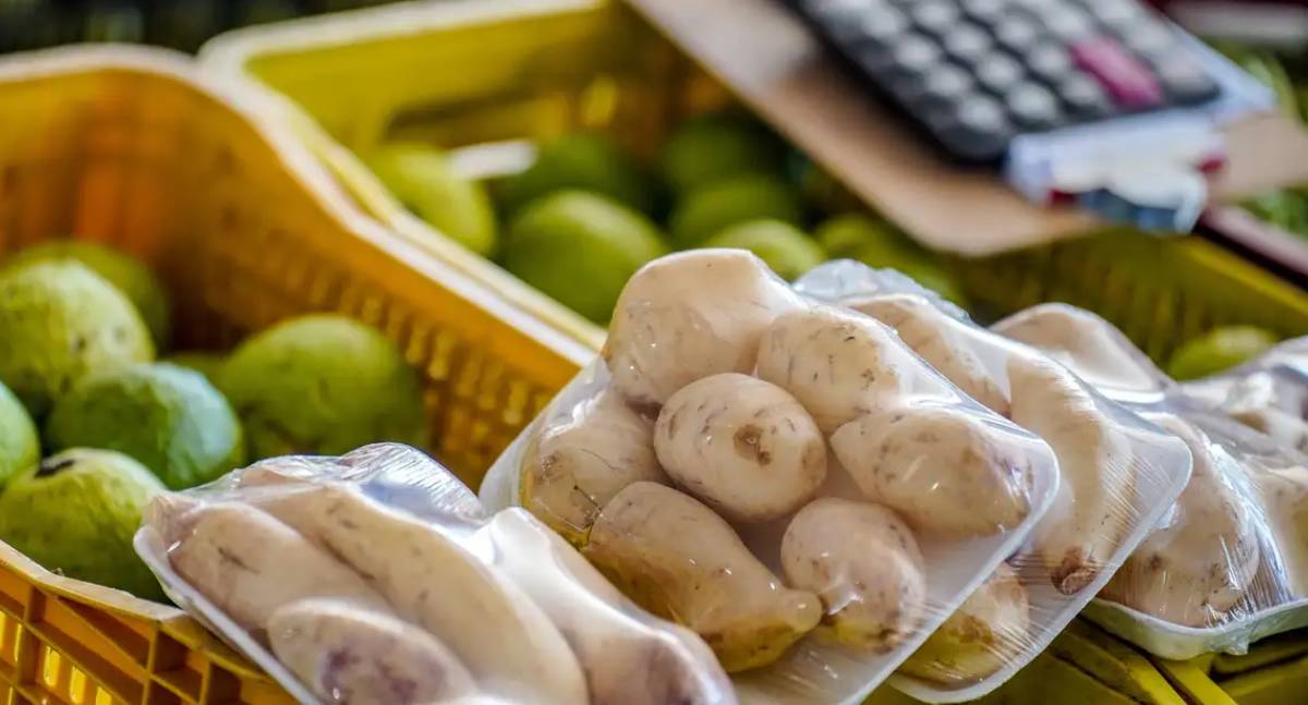Batata e cebola ficam mais baratas, diz Conab