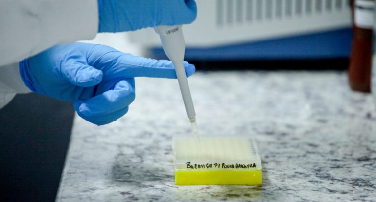 Buscas com DNA é fortalecida pelo governo de RO; mobilização nacional amplia chances de reencontros