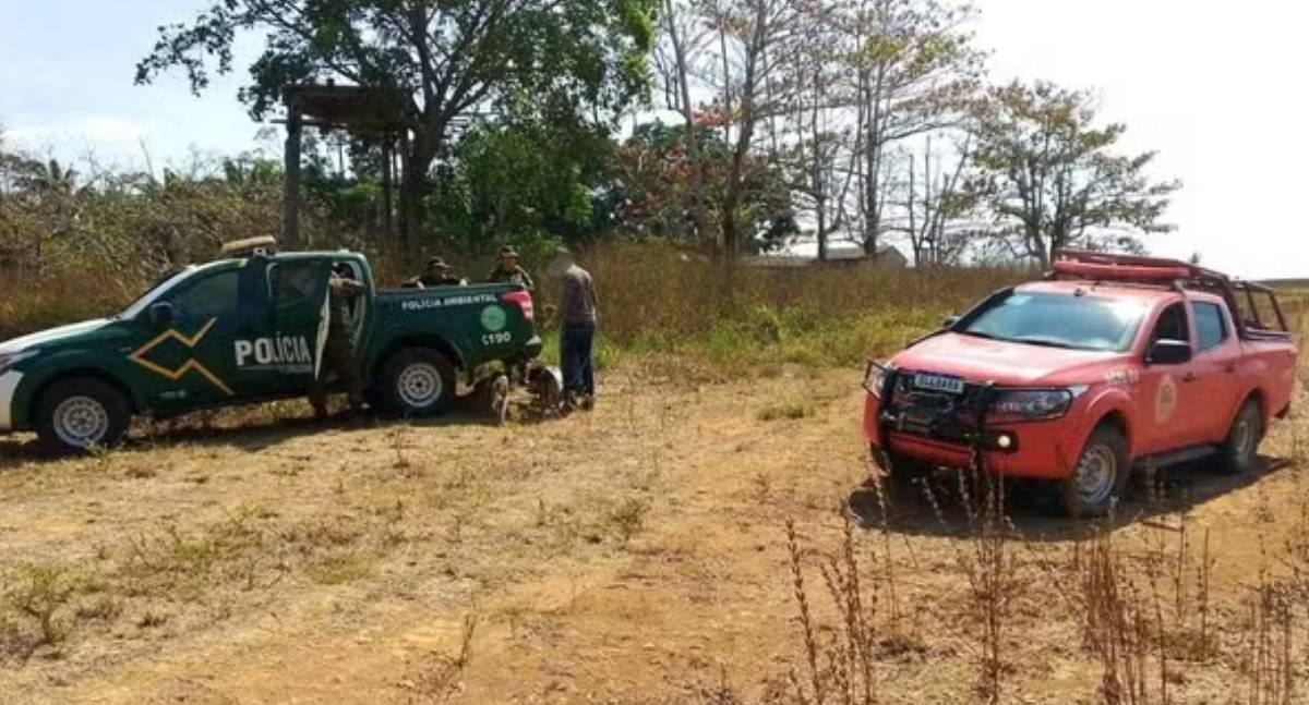 Caçadores são presos com animais abatidos em Campo Novo de Rondônia