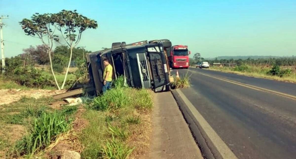 Caminhão boiadeiro tomba na BR-364 em Cacoal e causa morte de animais