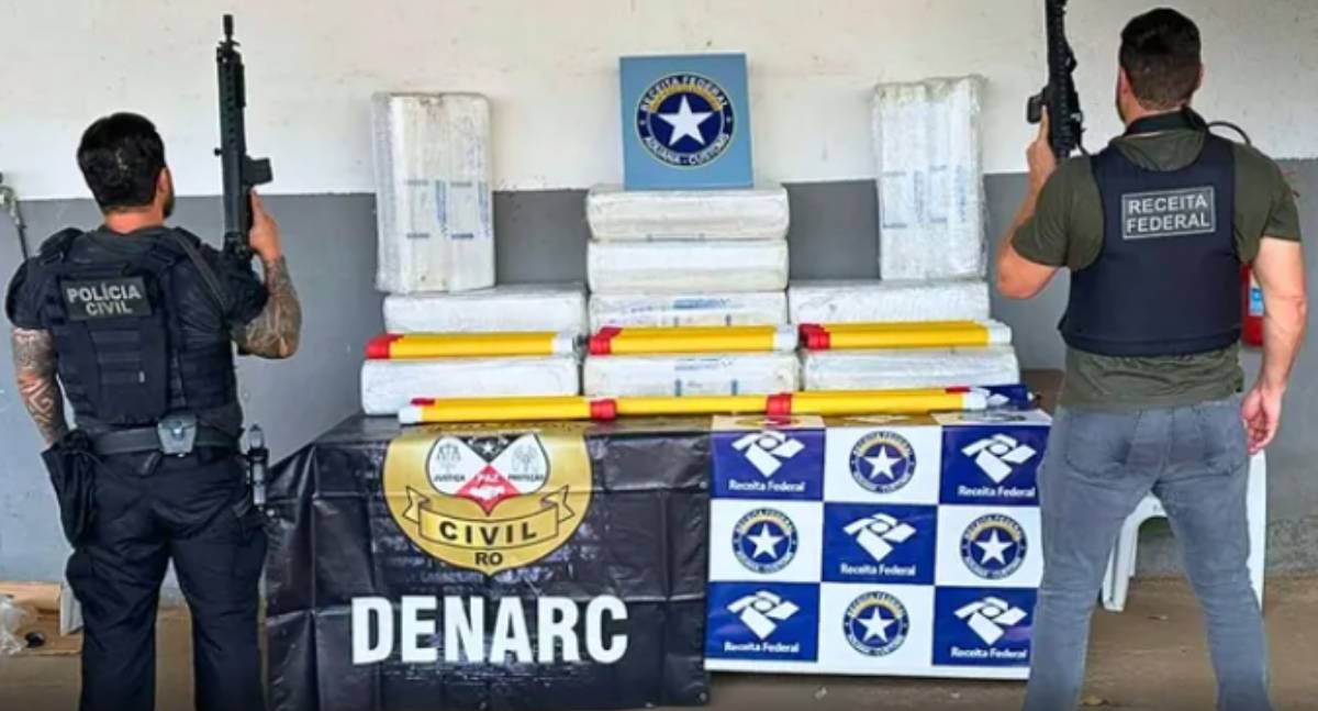 Carga de skunk é apreendida em operação na BR-319
