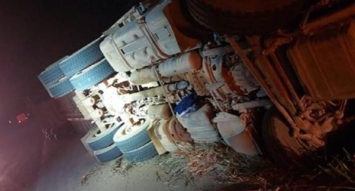 Carreta com gado tomba na BR-429 em São Miguel do Guaporé