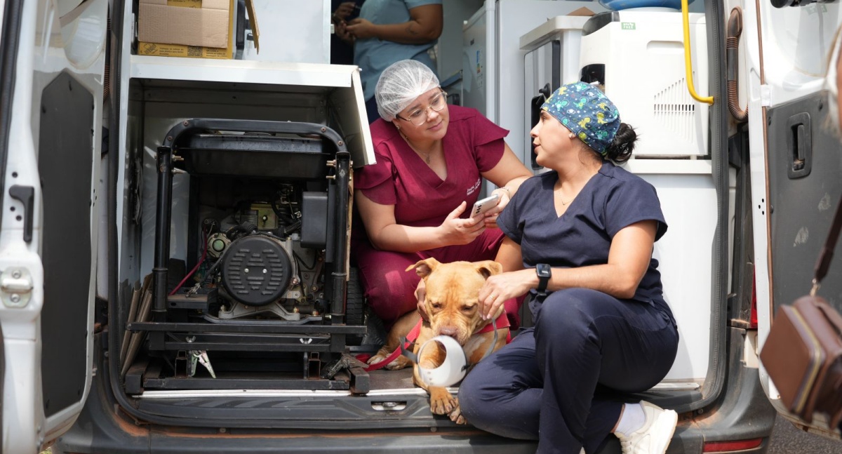 Castração de cães e gatos em Porto Velho é reforçada com exames pré-operatórios no Parque Circuito