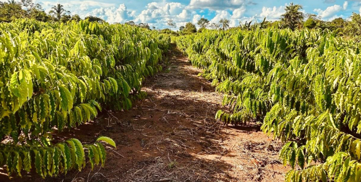 Cláudia de Jesus busca mais apoio à agricultura familiar em Presidente Médici e Ji-Paraná