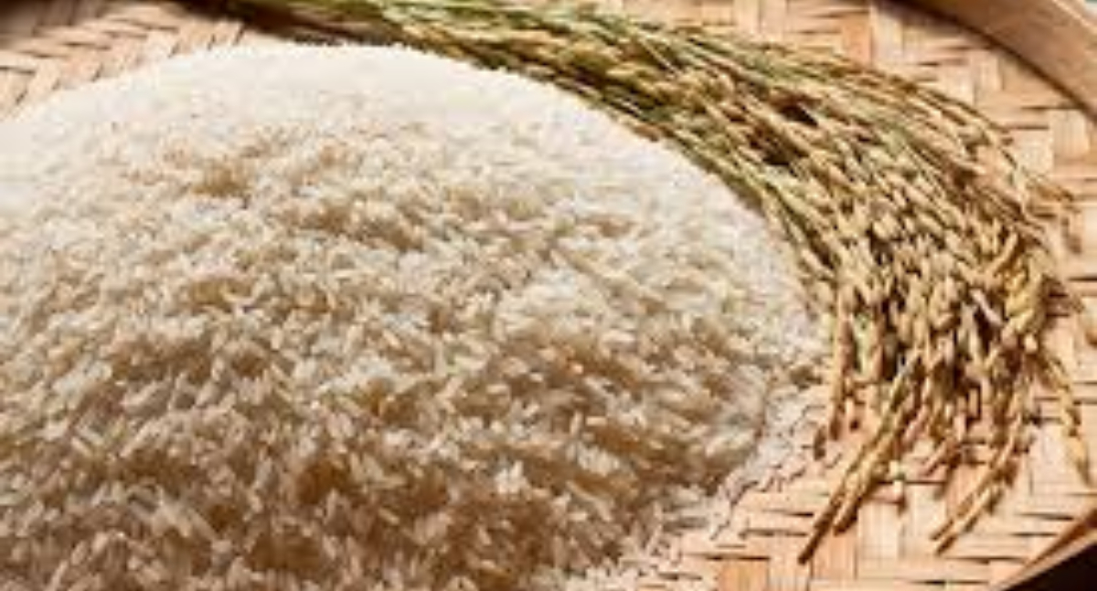 Conab negocia 109,2 mil toneladas de arroz em leilões de Contrato de Opção