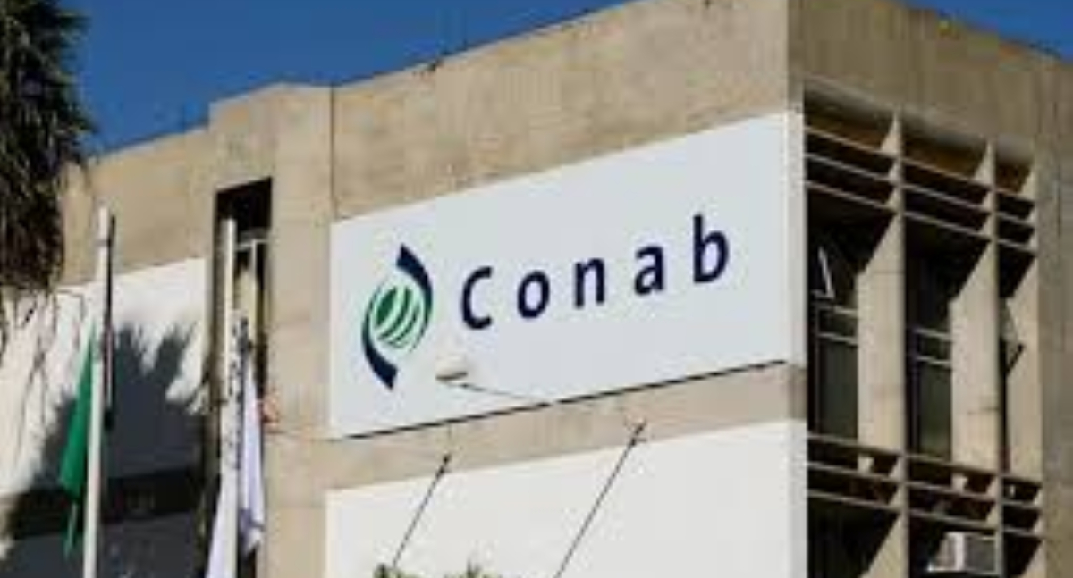Conab participa da Expointer 2025 com ações de apoio a produtores de arroz, feijão e agricultura familiar