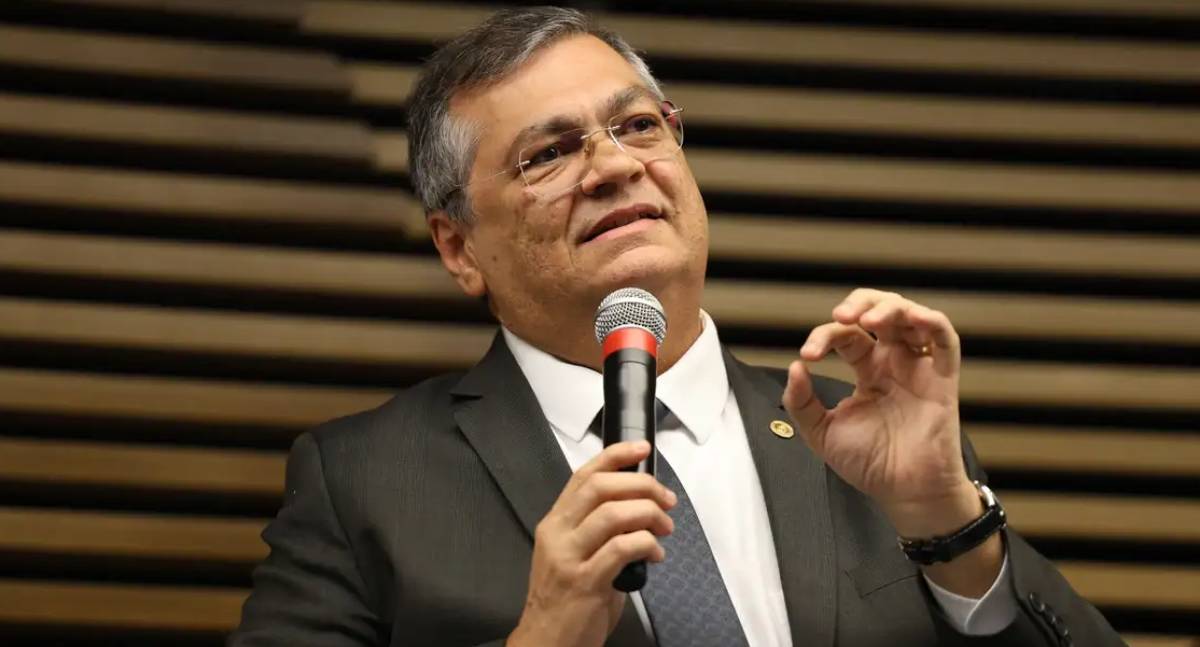 Decisão de Flávio Dino sobre vetar leis estrangeiras não atinge tribunais internacionais