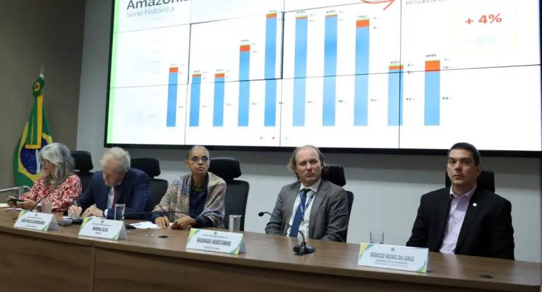 Desmatamento na Amazônia sobe, enquanto no Cerrado cai