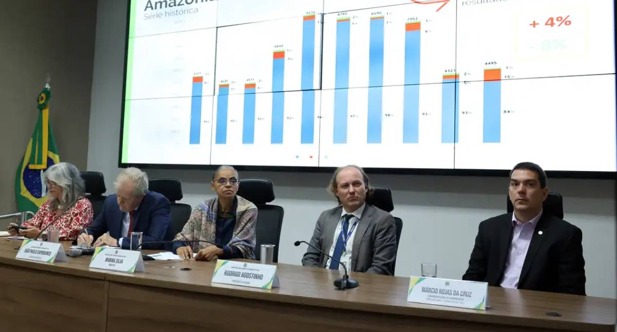 Desmatamento na Amazônia sobe, enquanto no Cerrado cai