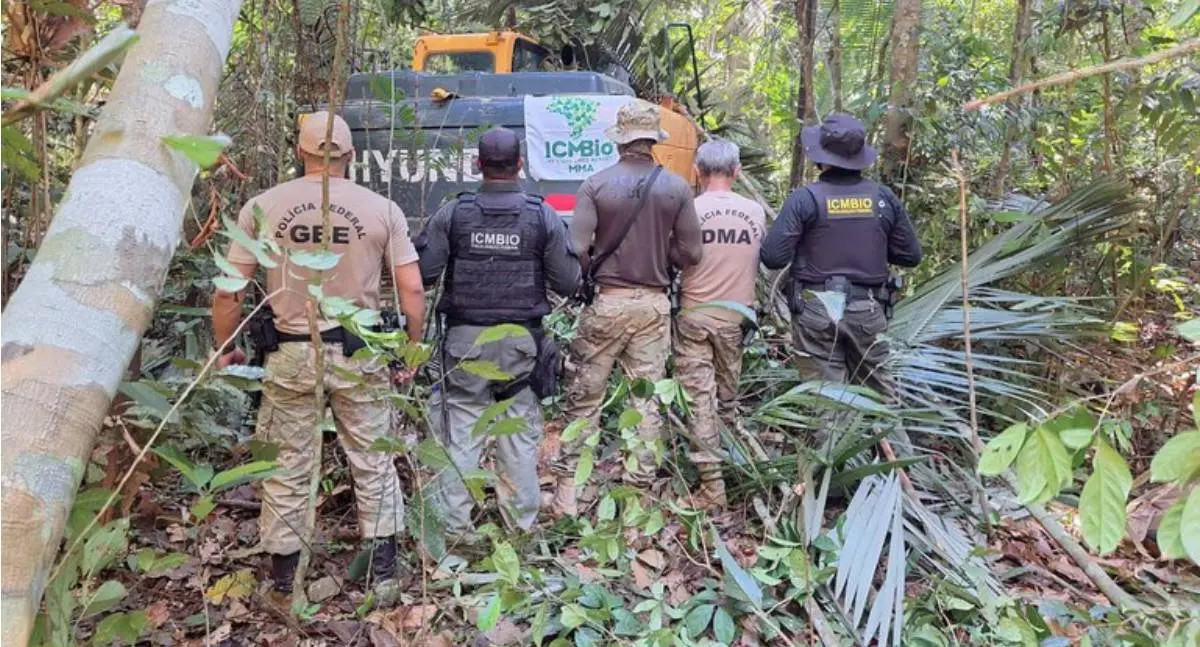 DOMINÂNCIA IV: PF deflagra em combate a crimes ambientais em Rondônia