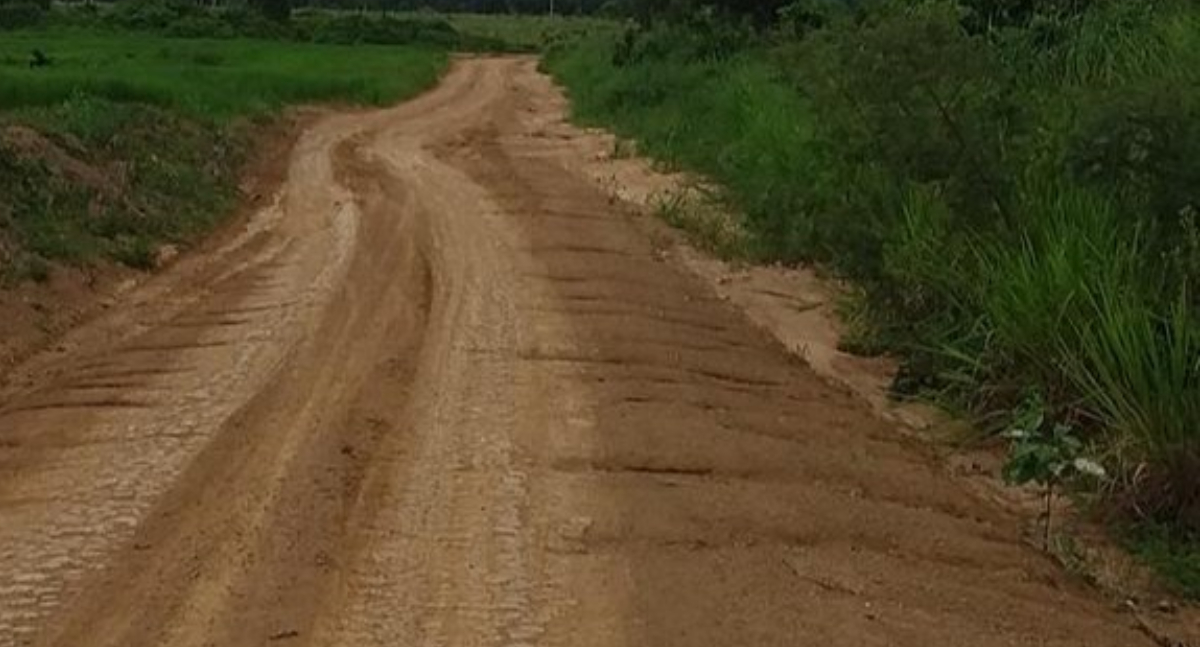 Dra. Taíssa solicita revitalização da estrada LH 0 entre Rio Pardo e Alto Paraíso