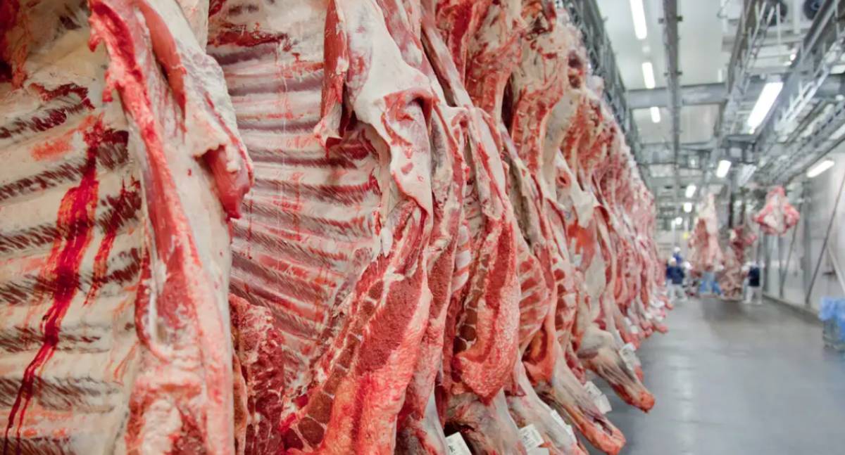 Exportação de carne bovina atinge recorde em julho antes de tarifaço dos EUA