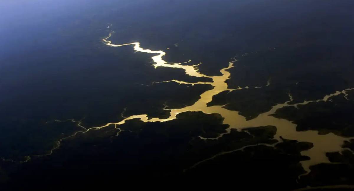 Fundo Amazônia anuncia novos investimentos após 17 anos