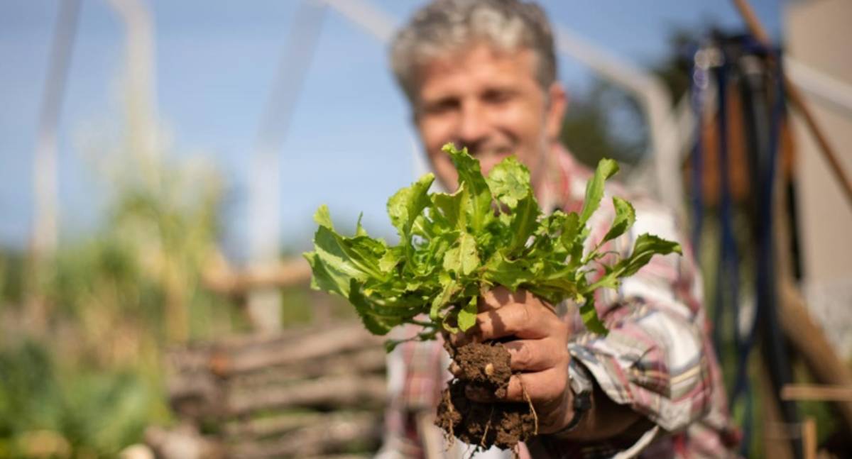 Governo Federal lança programa AgroAmigo com R$ 1 bilhão para agricultura familiar