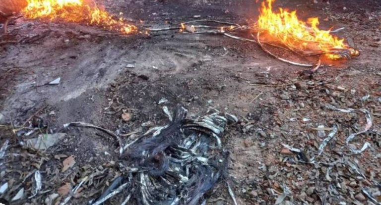Homem é preso em flagrante furtando fios de cobre da prefeitura em Vilhena