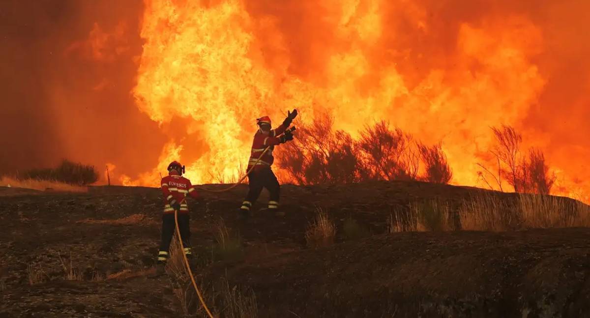 Incêndios na Espanha batem recorde anual com 343 mil hectares queimados