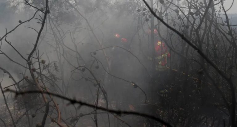 Incêndios na União Europeia queimam mais de 1 milhão de hectares