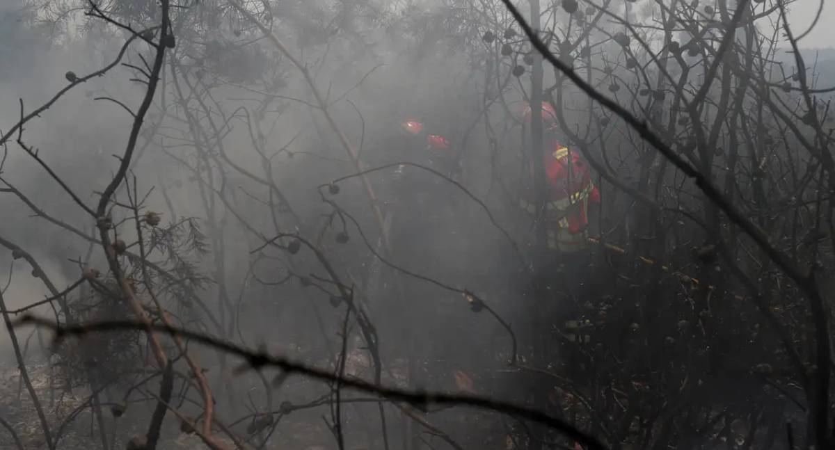 Incêndios na União Europeia queimam mais de 1 milhão de hectares
