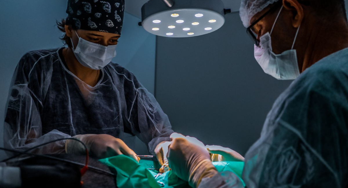 Inscrições abertas para Programa de Aprimoramento em Medicina Veterinária em Porto Velho