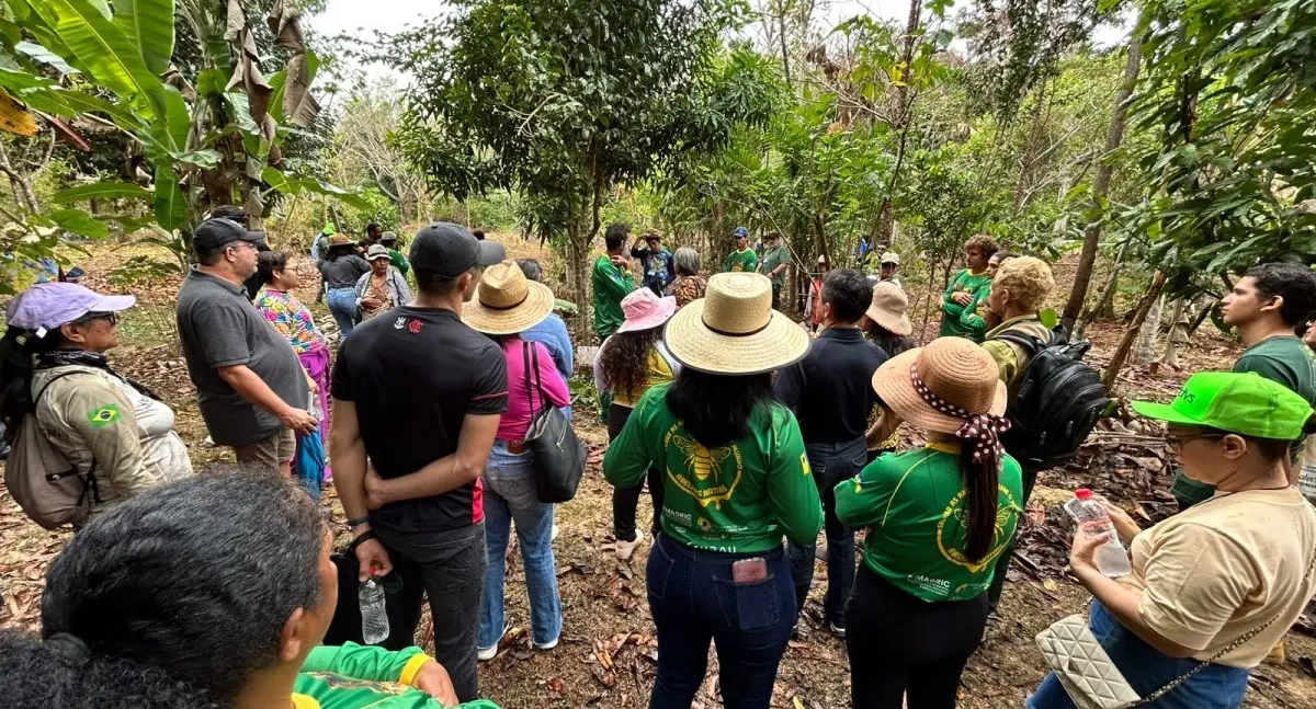 Interesse por abelhas sem ferrão movimenta o 1º Workshop da Amazônia Ocidental sobre Meliponicultura