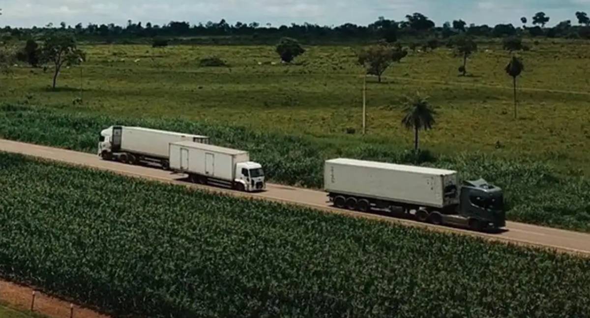 Leilão da Rota Agro tem deságio de 19,7% e Rota Agro Brasil vence