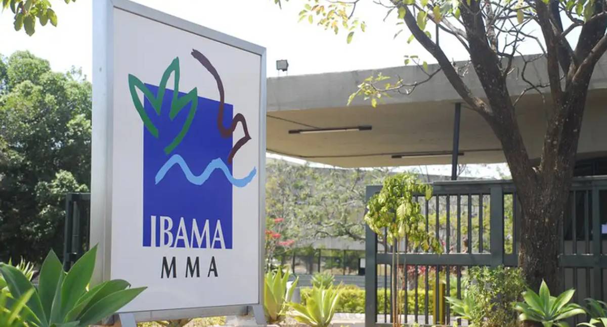 Liberação de licenças ambientais para óleo e gás lidera no Ibama