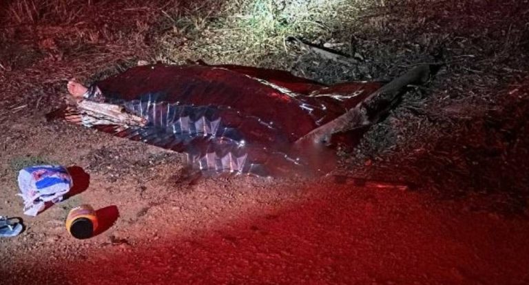 Mulher é assassinada com extrema violência em Vilhena