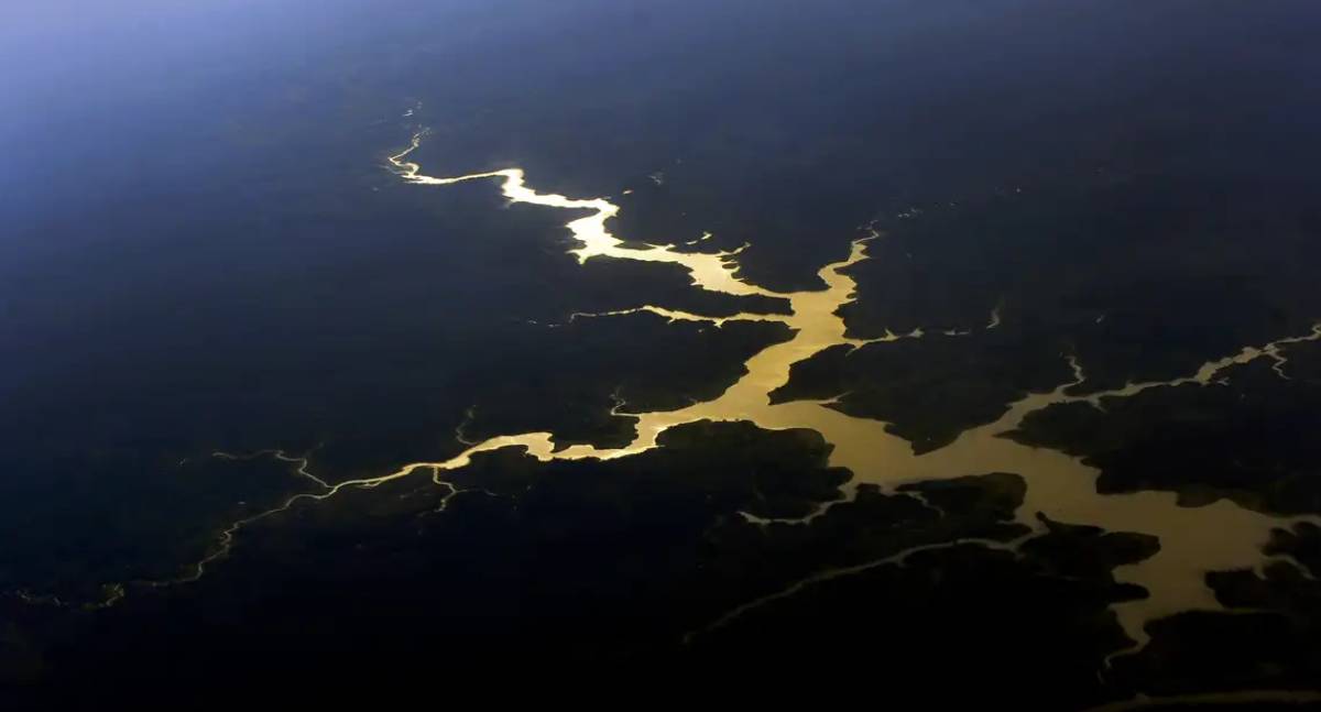 Novo estudo revela vulnerabilidades e conflitos nas fronteiras da Amazônia