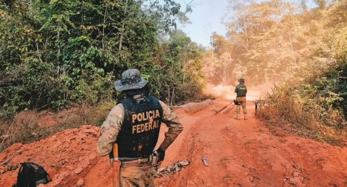 Operação Sentinelas da Amazônia completa dois meses com redução de queimadas e prisões por crimes ambientais