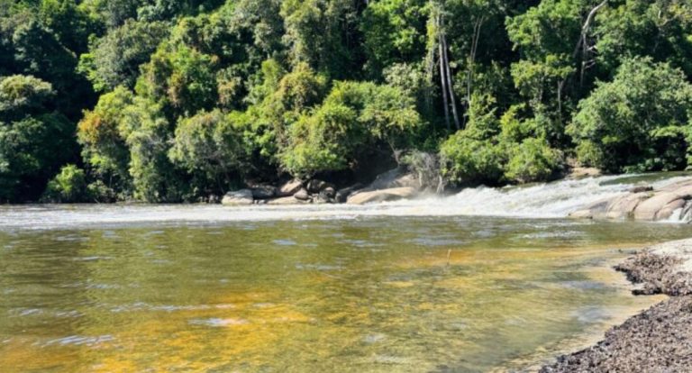 Parceria com Embratur fortalece destinos turísticos de Rondônia no mercado internacional