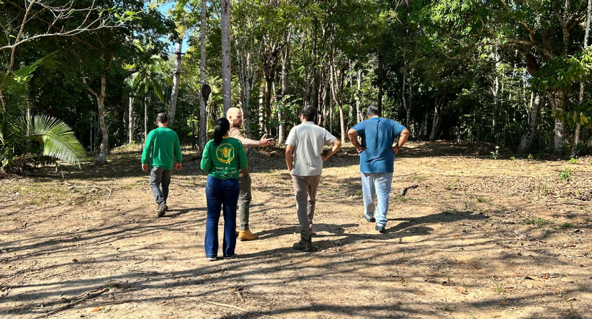 Parque Natural Raimundo Paraguaçu terá meliponários para educação ambiental e capacitação técnica em Porto Velho