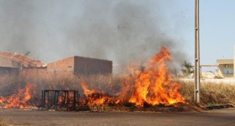 Prefeitura de Porto Velho reduz queimadas em quase 85% com medidas de prevenção ambiental