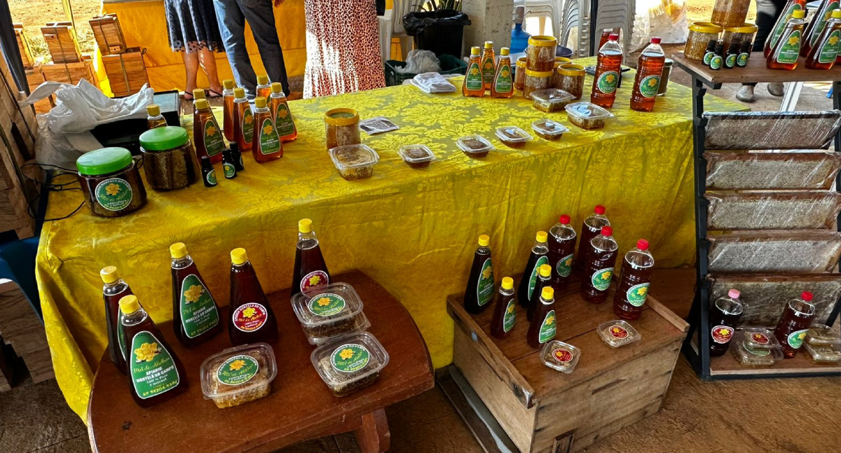 Produção sustentável de meliponicultura é tema de workshop com produtores em Porto Velho