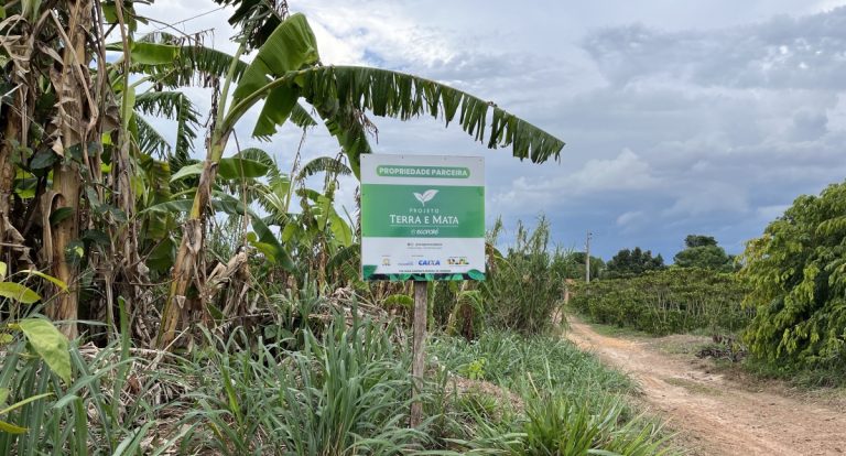 Projeto Terra e Mata avança em estudos sobre carbono em plantios florestais em Rondônia