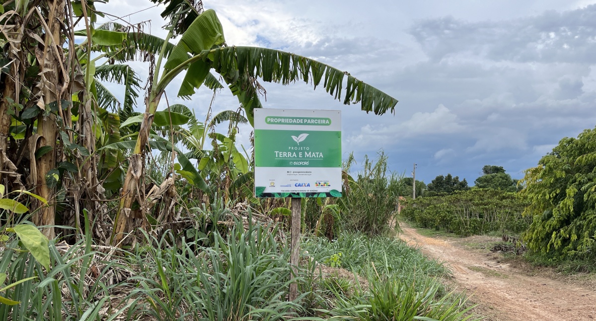 Projeto Terra e Mata avança em estudos sobre carbono em plantios florestais em Rondônia