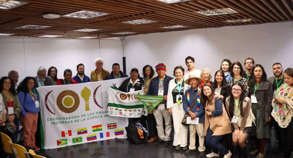 Sociedade civil exige mais voz na governança da OTCA