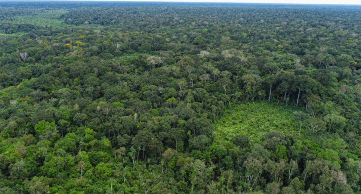 STF autoriza orçamento para proteção ambiental em Rondônia após atuação do MPRO