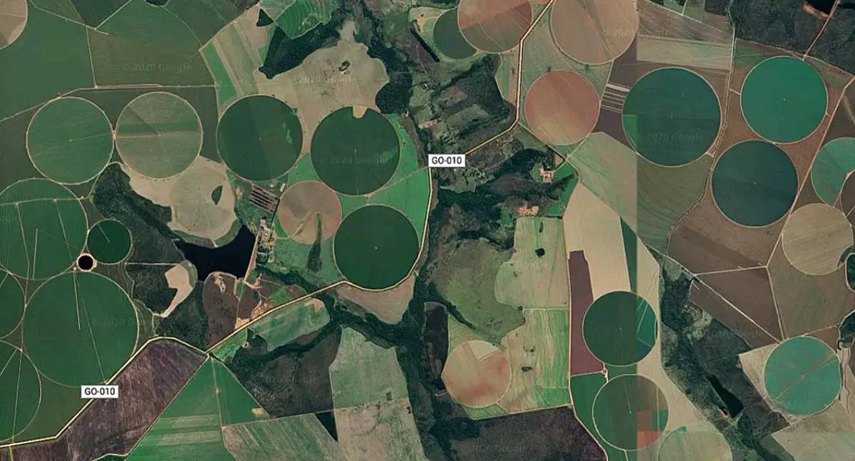 Suspensão da Moratória da Soja pelo Cade preocupa Ministério do Meio Ambiente