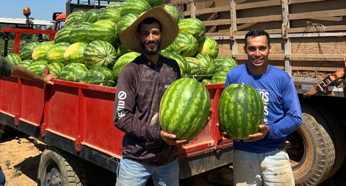 Transporte da Produção Rural garante economia e agilidade para agricultores de Rio Pardo