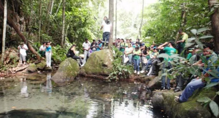 UNIR participa de encontro científico preparatório para a COP 30