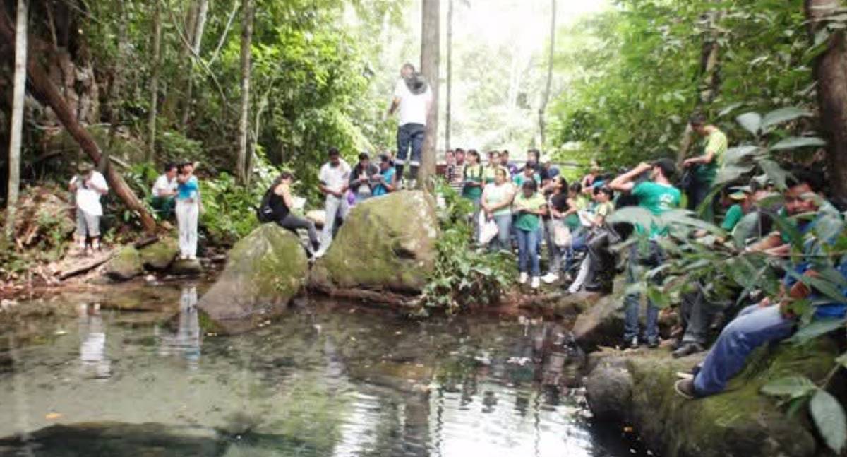 UNIR participa de encontro científico preparatório para a COP 30